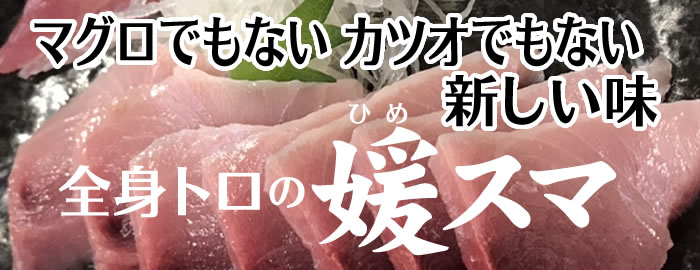 愛媛県産完全養殖「媛スマ」